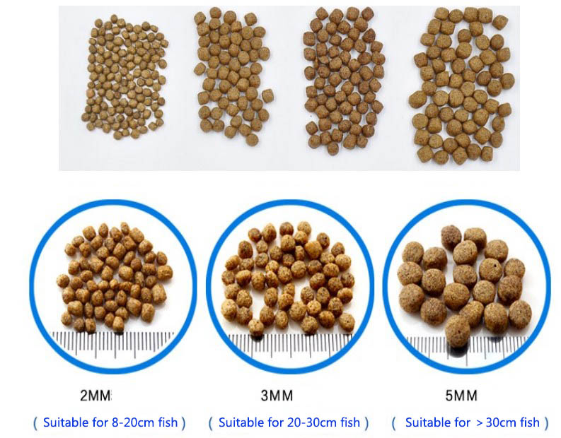 fish feed granules